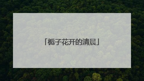 栀子花开的清晨