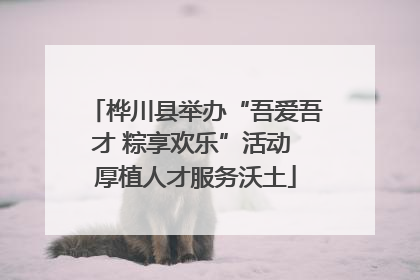 桦川县举办“吾爱吾才 粽享欢乐”活动 厚植人才服务沃土