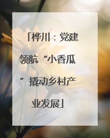 桦川：党建领航“小香瓜”撬动乡村产业发展