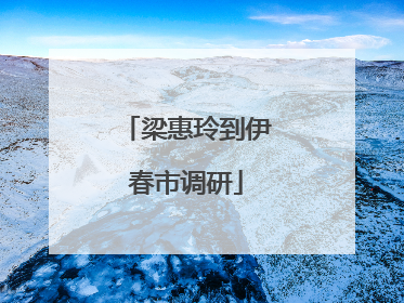 梁惠玲到伊春市调研