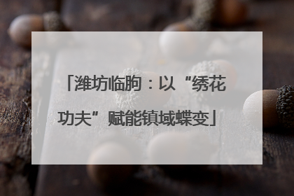 潍坊临朐：以“绣花功夫”赋能镇域蝶变