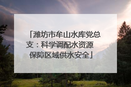 潍坊市牟山水库党总支：科学调配水资源 保障区域供水安全