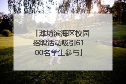 潍坊滨海区校园招聘活动吸引6100名学生参与
