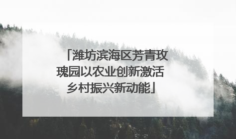 潍坊滨海区芳青玫瑰园以农业创新激活乡村振兴新动能