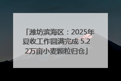 潍坊滨海区：2025年夏收工作圆满完成 5.22万亩小麦颗粒归仓