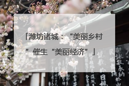 潍坊诸城：“美丽乡村”催生“美丽经济”