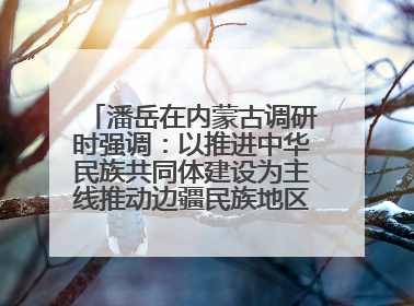 潘岳在内蒙古调研时强调：以推进中华民族共同体建设为主线推动边疆民族地区高质量发展