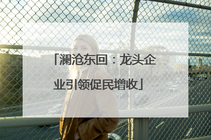 澜沧东回：龙头企业引领促民增收