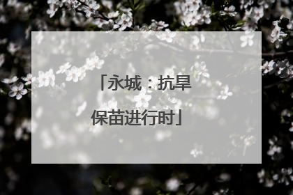 永城：抗旱保苗进行时