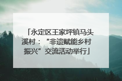 永定区王家坪镇马头溪村：“非遗赋能乡村振兴”交流活动举行
