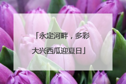 永定河畔，多彩大兴西瓜迎夏日