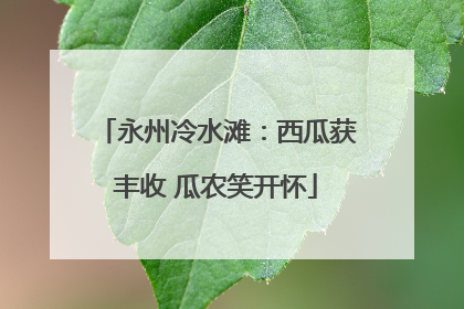 永州冷水滩：西瓜获丰收 瓜农笑开怀