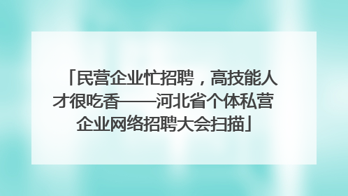 民营企业忙招聘，高技能人才很吃香——河北省个体私营企业网络招聘大会扫描