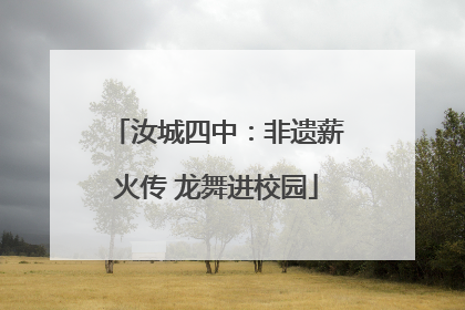 汝城四中：非遗薪火传 龙舞进校园