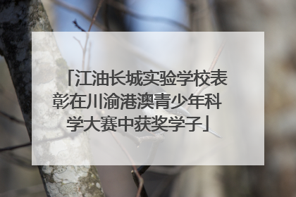江油长城实验学校表彰在川渝港澳青少年科学大赛中获奖学子