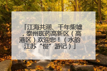 江海共潮、千年柴墟，泰州医药高新区（高港区）欢迎您！（水韵江苏“慢”游记）