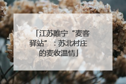 江苏睢宁“麦客驿站”：苏北村庄的麦收温情