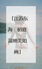 江苏东海：初夏湿地美如画