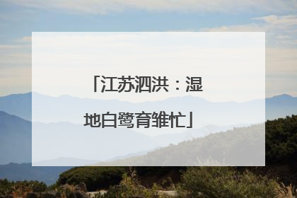 江苏泗洪：湿地白鹭育雏忙