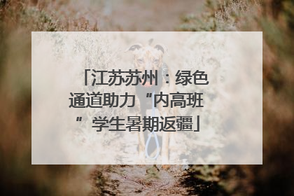江苏苏州：绿色通道助力“内高班”学生暑期返疆
