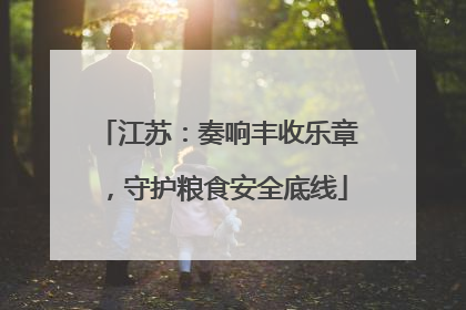 江苏：奏响丰收乐章，守护粮食安全底线