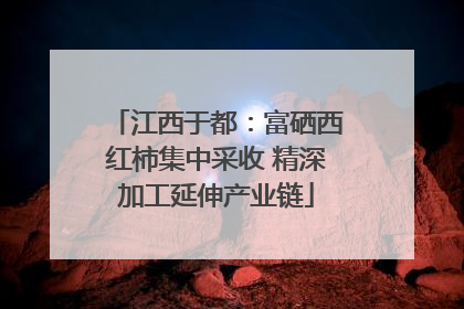 江西于都：富硒西红柿集中采收 精深加工延伸产业链