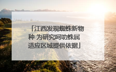 江西发现蜘蛛新物种 为研究呵叻蛛属适应区域提供依据