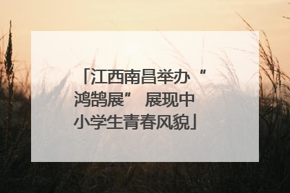 江西南昌举办“鸿鹄展” 展现中小学生青春风貌