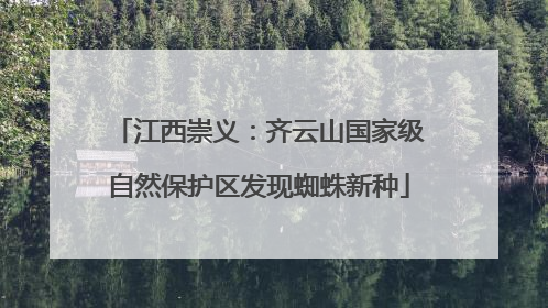 江西崇义：齐云山国家级自然保护区发现蜘蛛新种