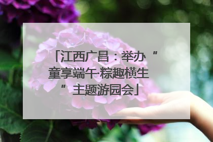 江西广昌：举办“童享端午·粽趣横生”主题游园会