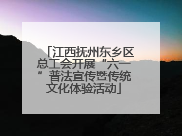 江西抚州东乡区总工会开展“六一”普法宣传暨传统文化体验活动