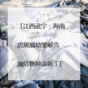 江西武宁：海南虎斑鳽幼雏破壳 濒危物种添新丁