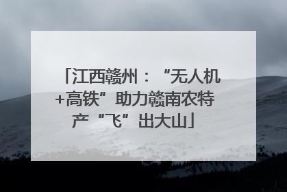 江西赣州：“无人机+高铁”助力赣南农特产“飞”出大山
