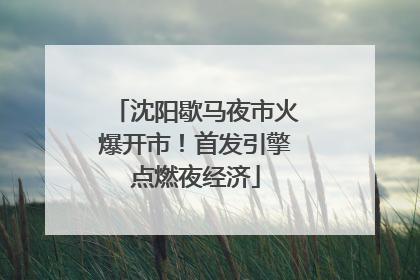 沈阳歇马夜市火爆开市！首发引擎点燃夜经济