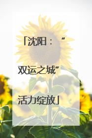 沈阳：“双运之城”活力绽放