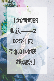 沉甸甸的收获——2025年夏季粮油收获一线观察