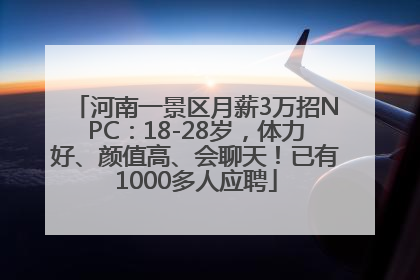 河南一景区月薪3万招NPC：18-28岁，体力好、颜值高、会聊天！已有1000多人应聘
