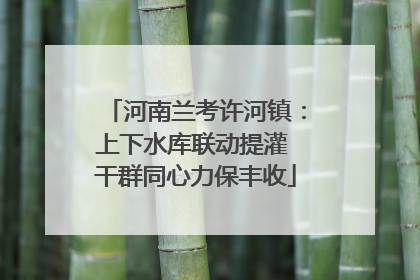 河南兰考许河镇：上下水库联动提灌 干群同心力保丰收
