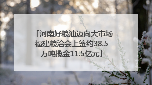 河南好粮油迈向大市场 福建粮洽会上签约38.5万吨揽金11.5亿元
