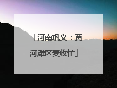 河南巩义：黄河滩区麦收忙