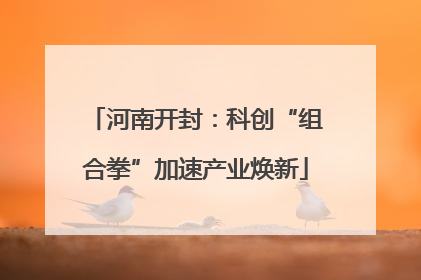 河南开封：科创“组合拳”加速产业焕新