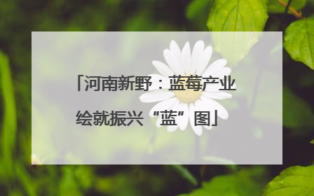 河南新野：蓝莓产业绘就振兴“蓝”图