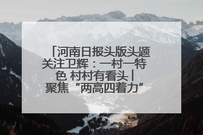 河南日报头版头题关注卫辉：一村一特色 村村有看头 ︳聚焦“两高四着力”·一“县”观察