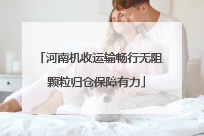 河南机收运输畅行无阻 颗粒归仓保障有力