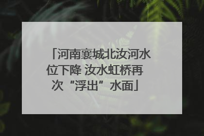 河南襄城北汝河水位下降 汝水虹桥再次“浮出”水面