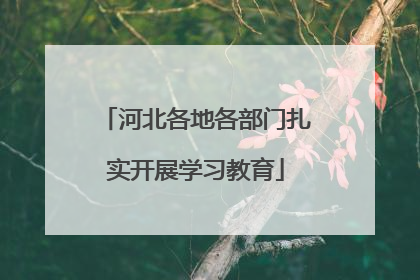 河北各地各部门扎实开展学习教育