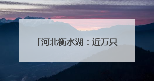 河北衡水湖：近万只夏候鸟进入繁殖期