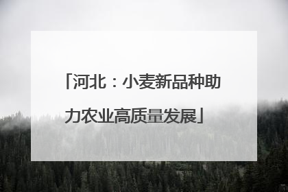 河北：小麦新品种助力农业高质量发展