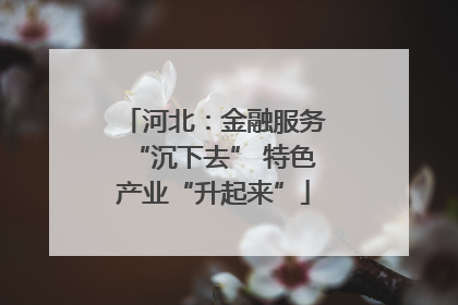 河北：金融服务“沉下去” 特色产业“升起来”