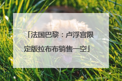 法国巴黎：卢浮宫限定版拉布布销售一空